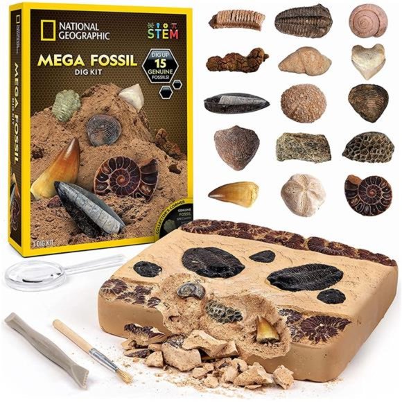 Mega Fossil Dig Kit - Excavate 15 Prehistoric Fossils Including Dinosaur Bones - Picture 1 of 6